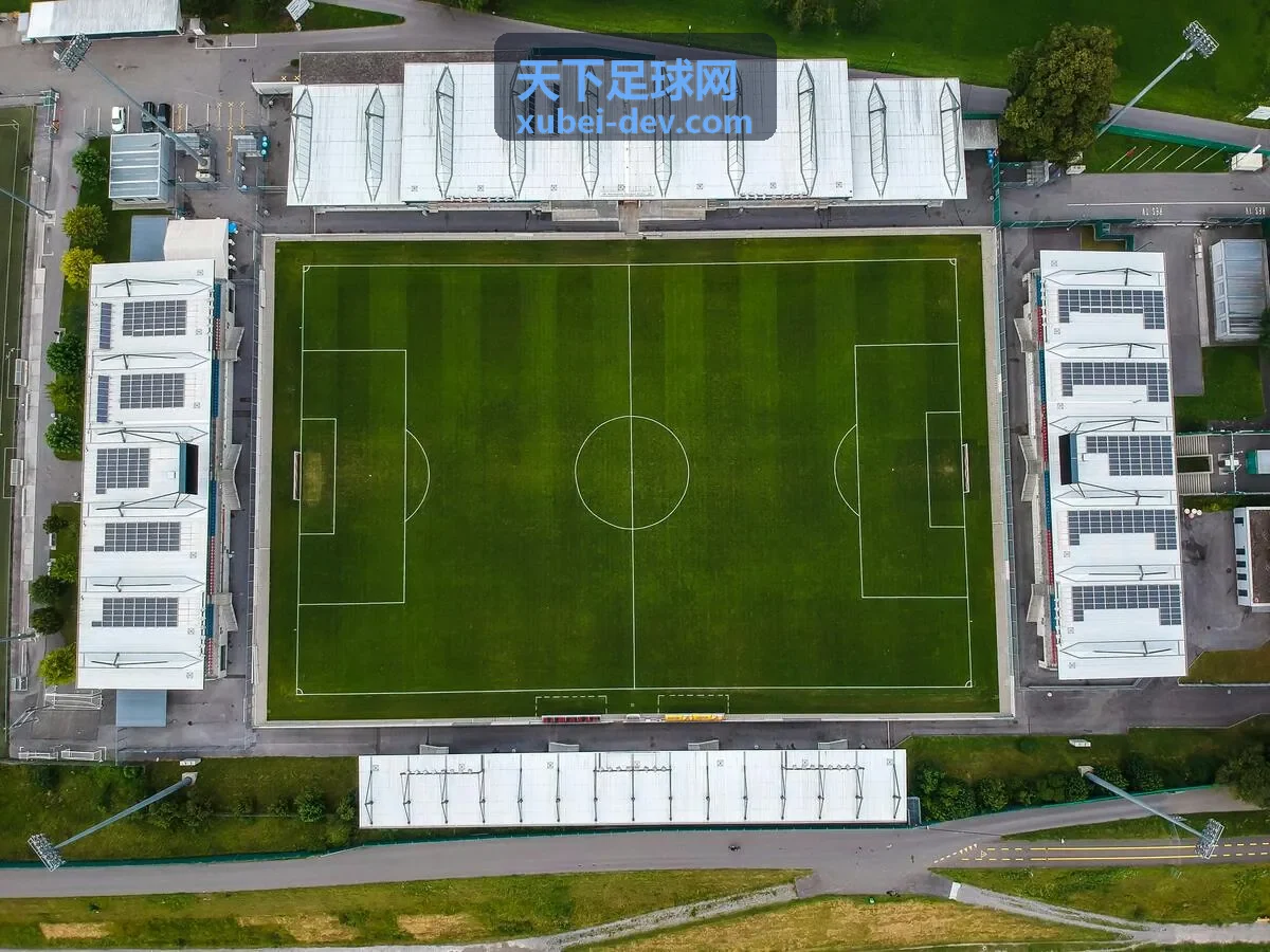 天下足球网分析报告样本